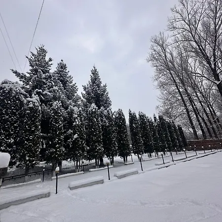 Drumetului *